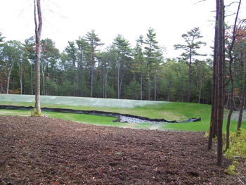 Photo of Stormwater management results